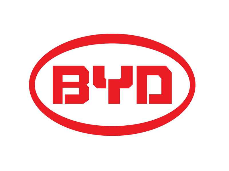 BYD magnet supply